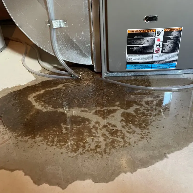 Pipe Burst and Leak Restoration in Aurora, CO